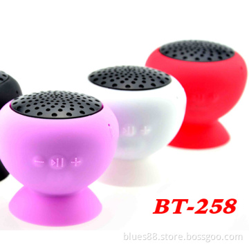 Fashion Designe Bathroom Bluetooth Speaker